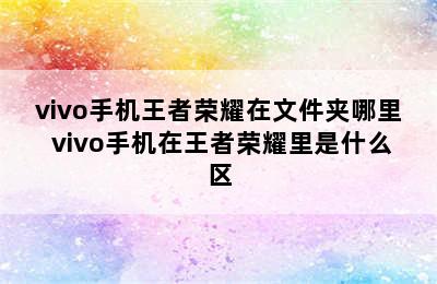 vivo手机王者荣耀在文件夹哪里 vivo手机在王者荣耀里是什么区